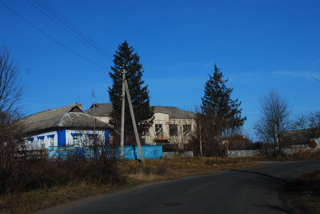 Велика Севастянівка з panoramio.com - Великая Севастьяновка