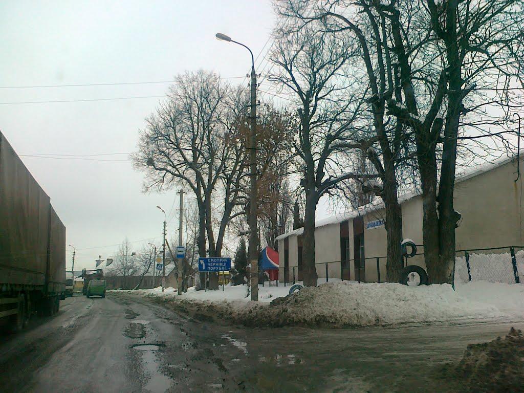 Дунаївці з panoramio.com - Дунаївці