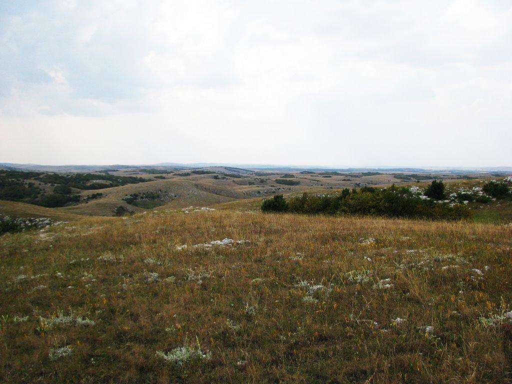 Пчолине з panoramio.com - Пчелиное