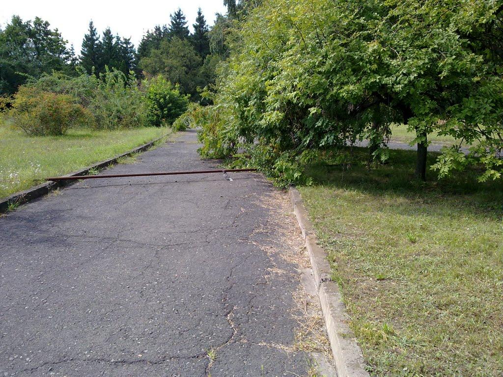 Кам'яне Поле з panoramio.com - Kamyane Pole