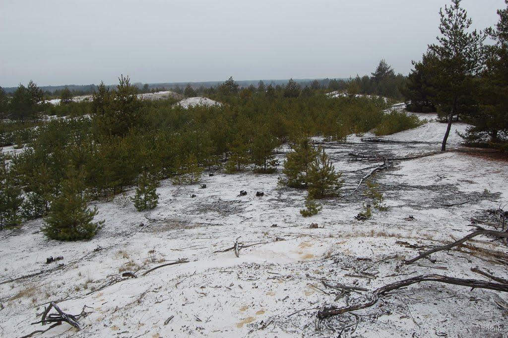 Боровеньки з panoramio.com - Borovenky