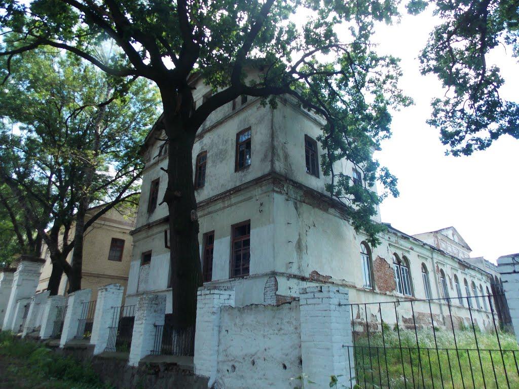 Дашів з panoramio.com - Dashiv