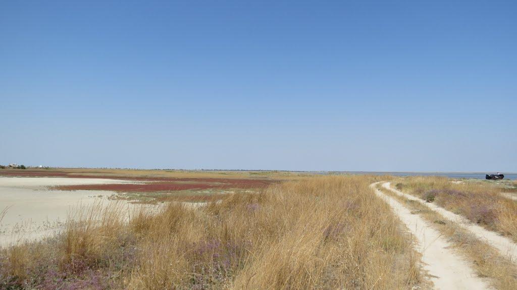 Передмістне з panoramio.com - Предмостное