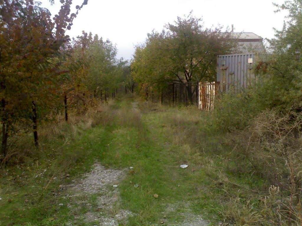 Червоний Садок з panoramio.com - Червоный Садок