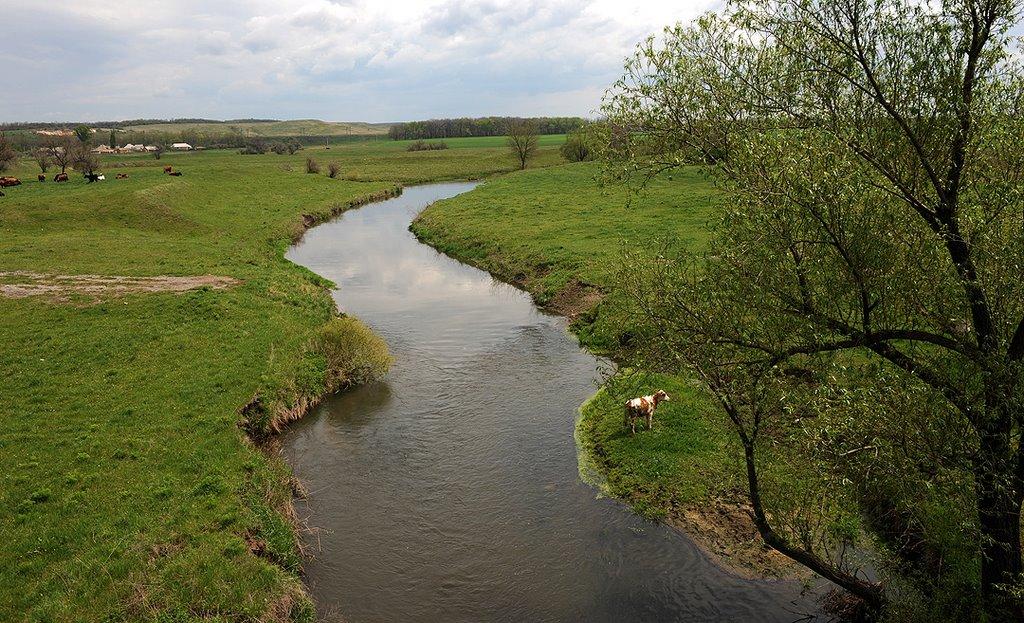 Переїзне з panoramio.com - Pereyizne