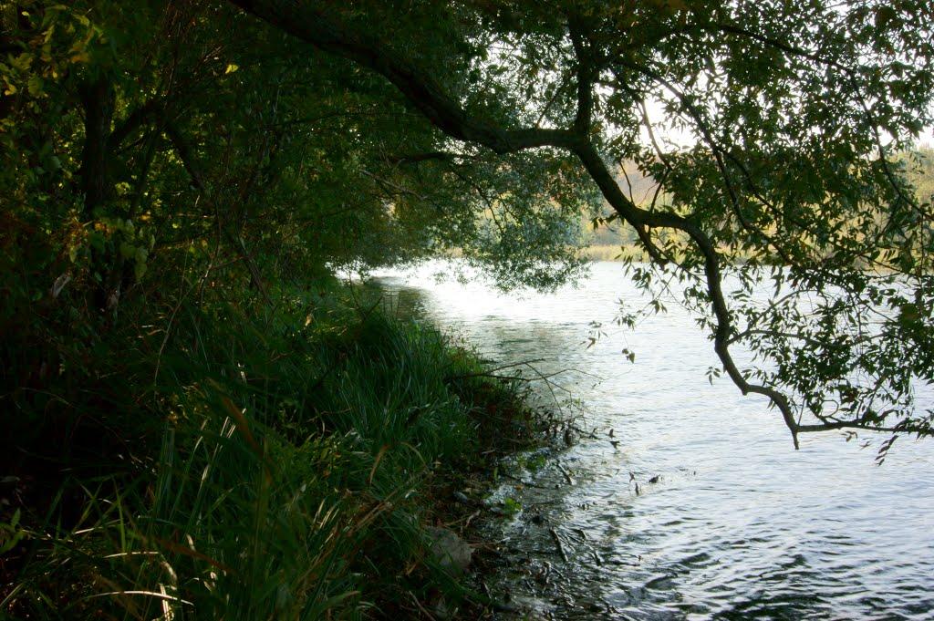 Райгород з panoramio.com - Райгород