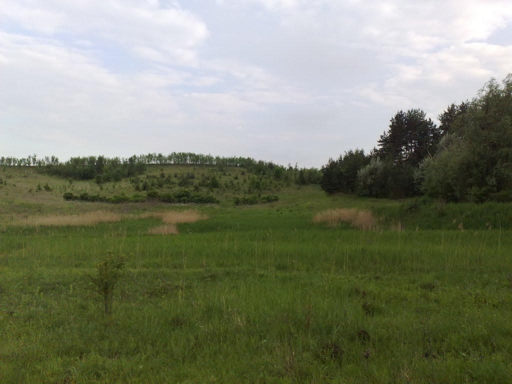 Махаринці з panoramio.com - Махаринцы