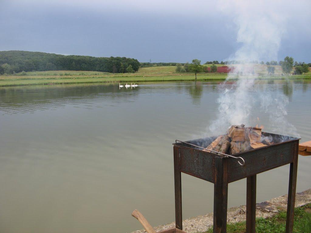 Старі Бросківці з panoramio.com - Старі Бросківці