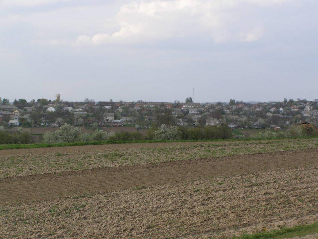 Віньківці з panoramio.com - Віньківці