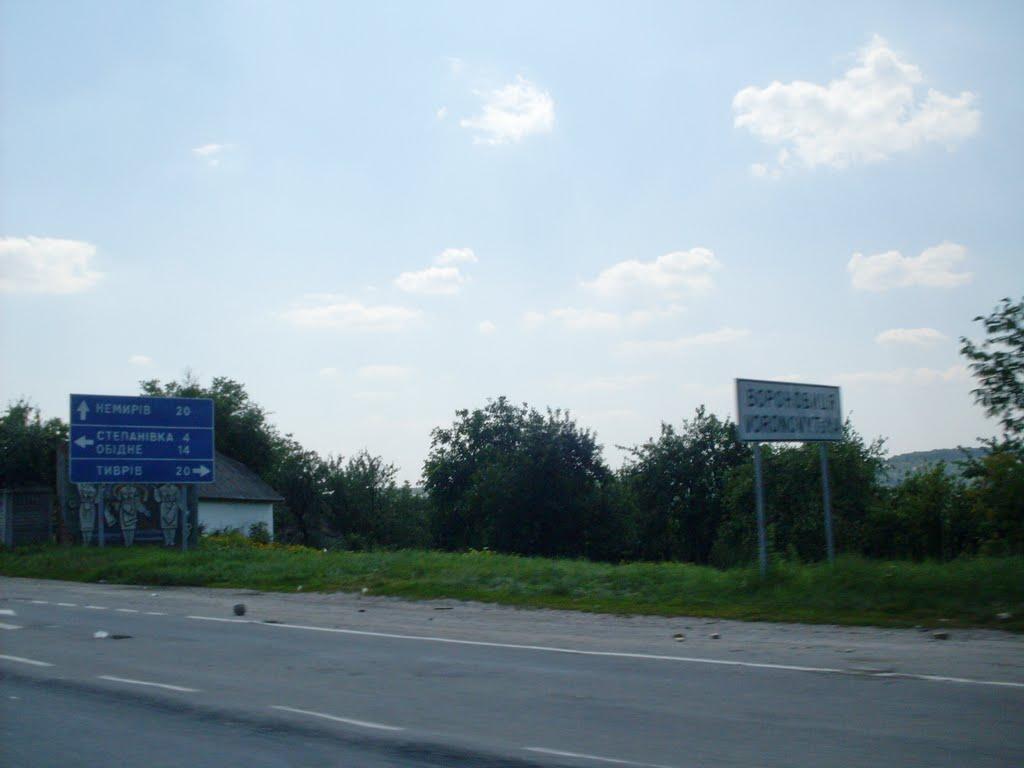 Вороновиця з panoramio.com - Вороновиця