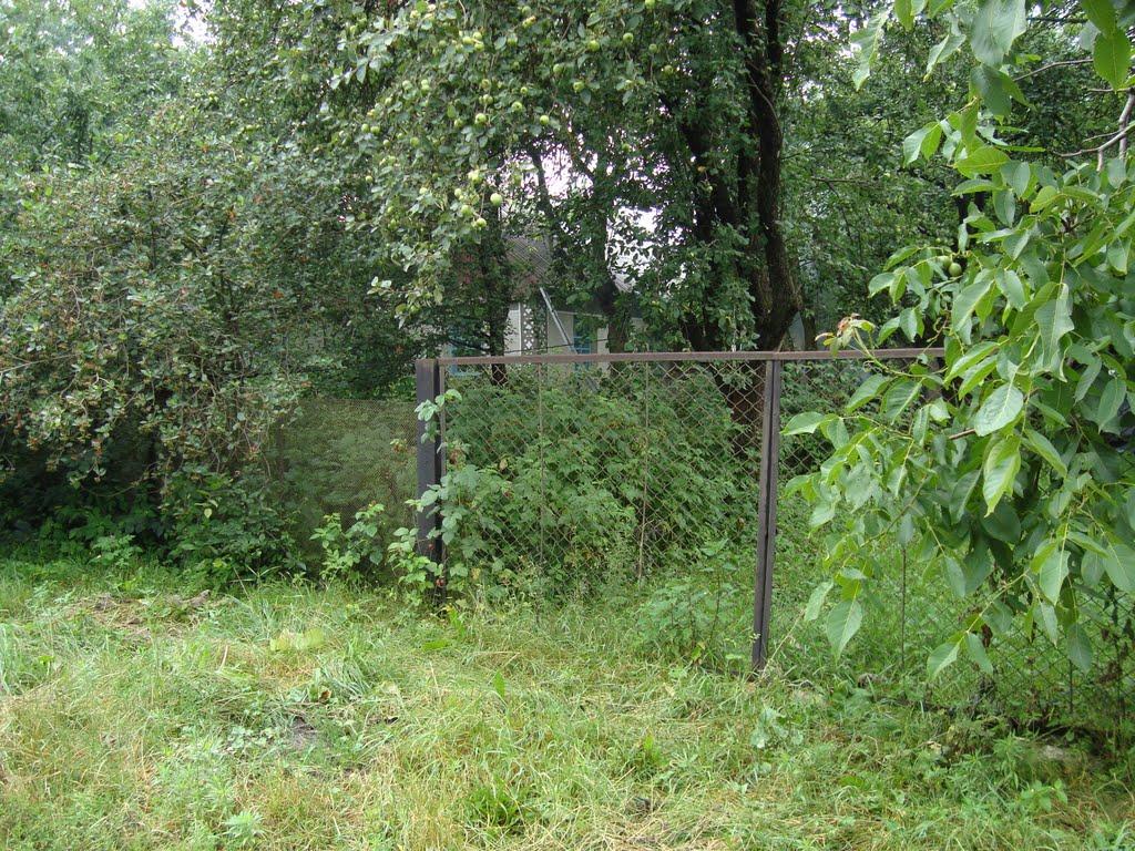 Прикордонна Улашанівка з panoramio.com - Прикордонна Улашанівка