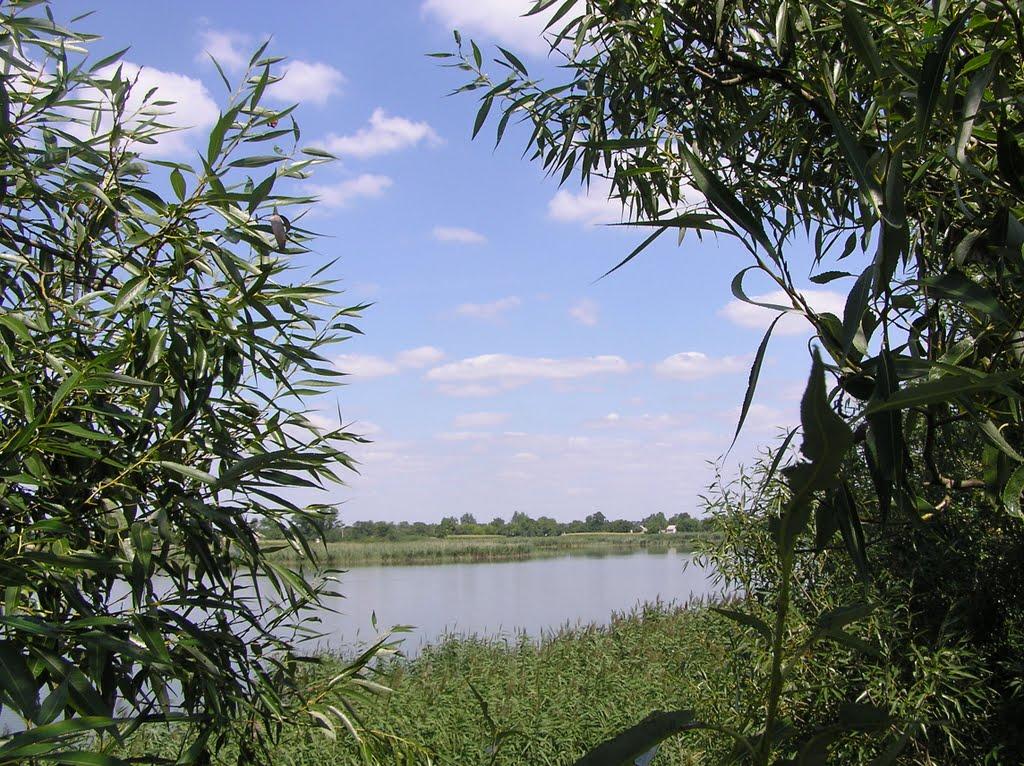 Паніванівка з panoramio.com - Паніванівка