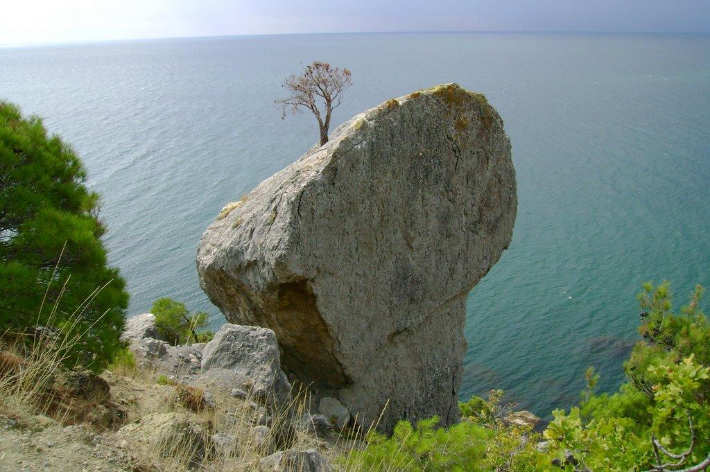Долина з panoramio.com - Долина