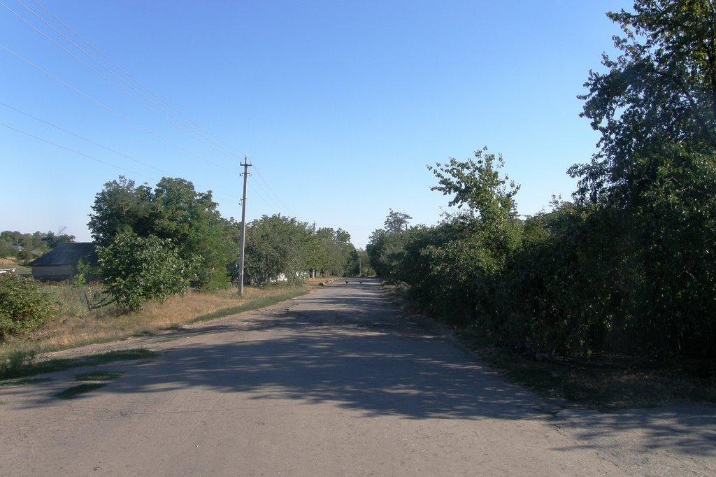 Розношенське з panoramio.com - Розношенське