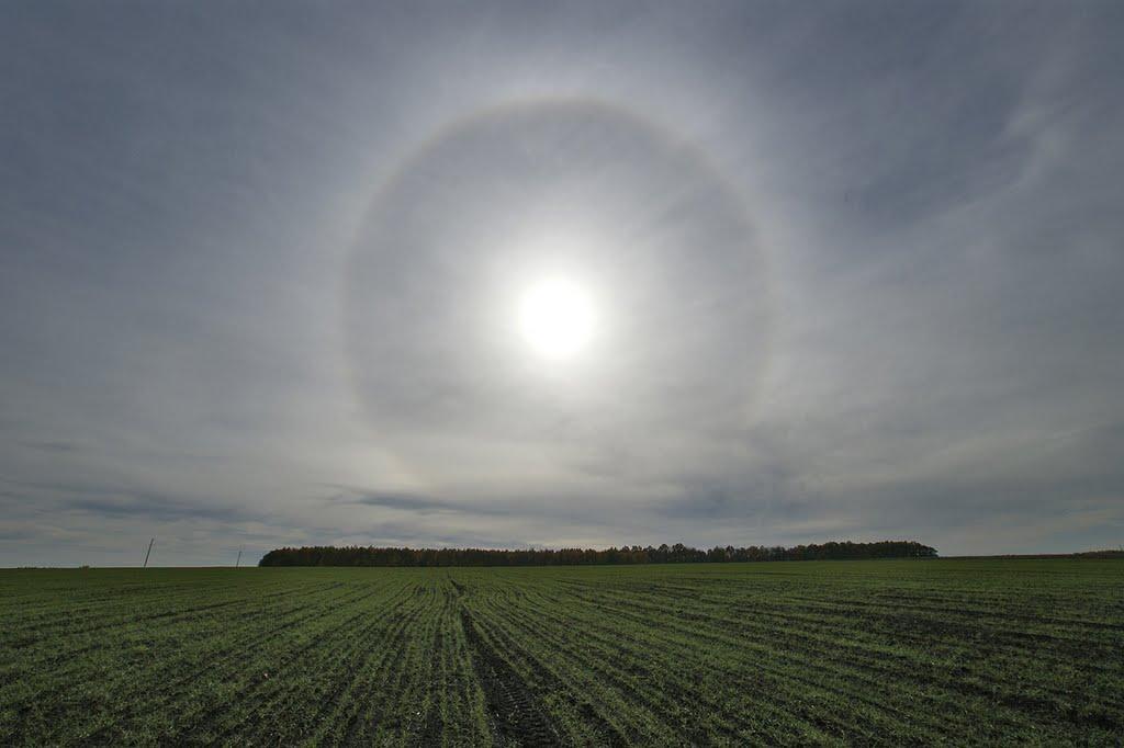 Червона Нива з panoramio.com - Червона Нива