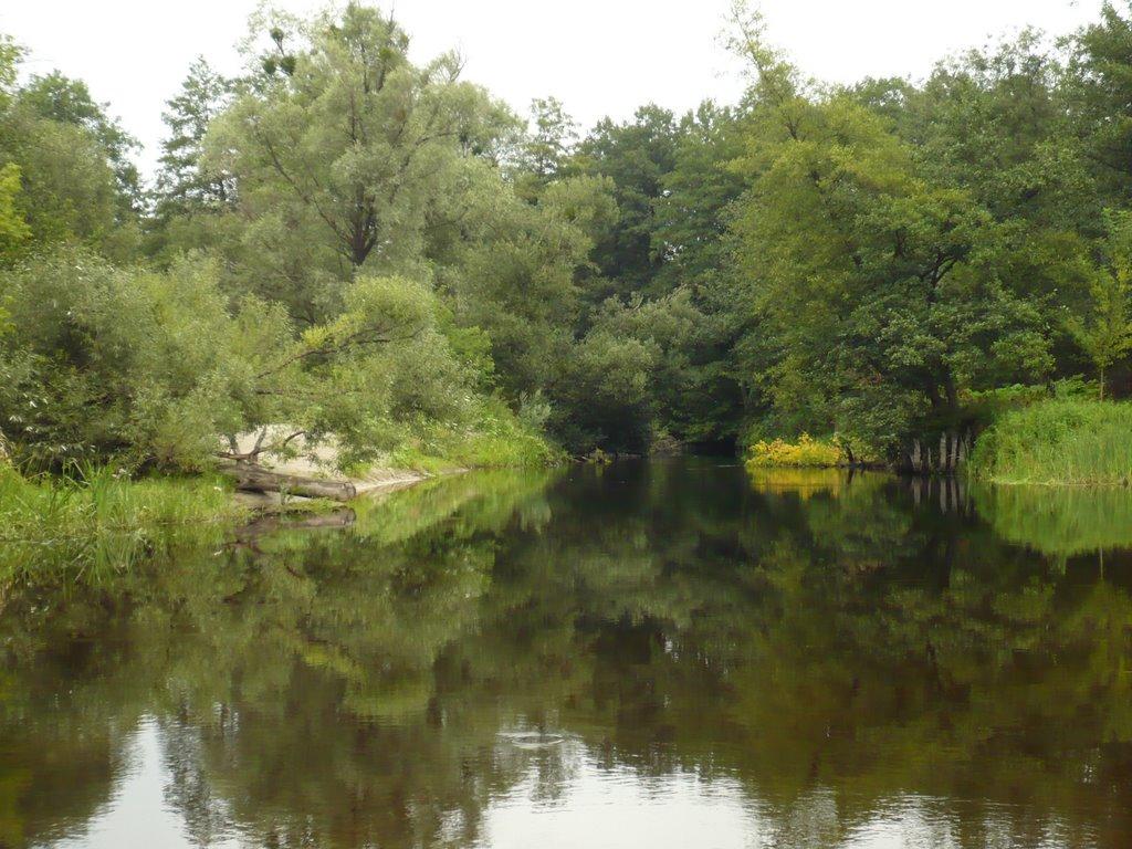Чернеччина з panoramio.com - Чернеччина