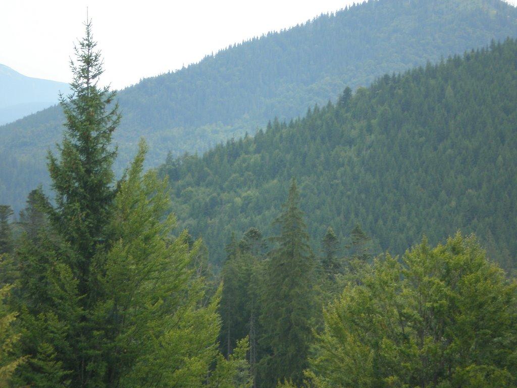 Синевир з panoramio.com - Синевир