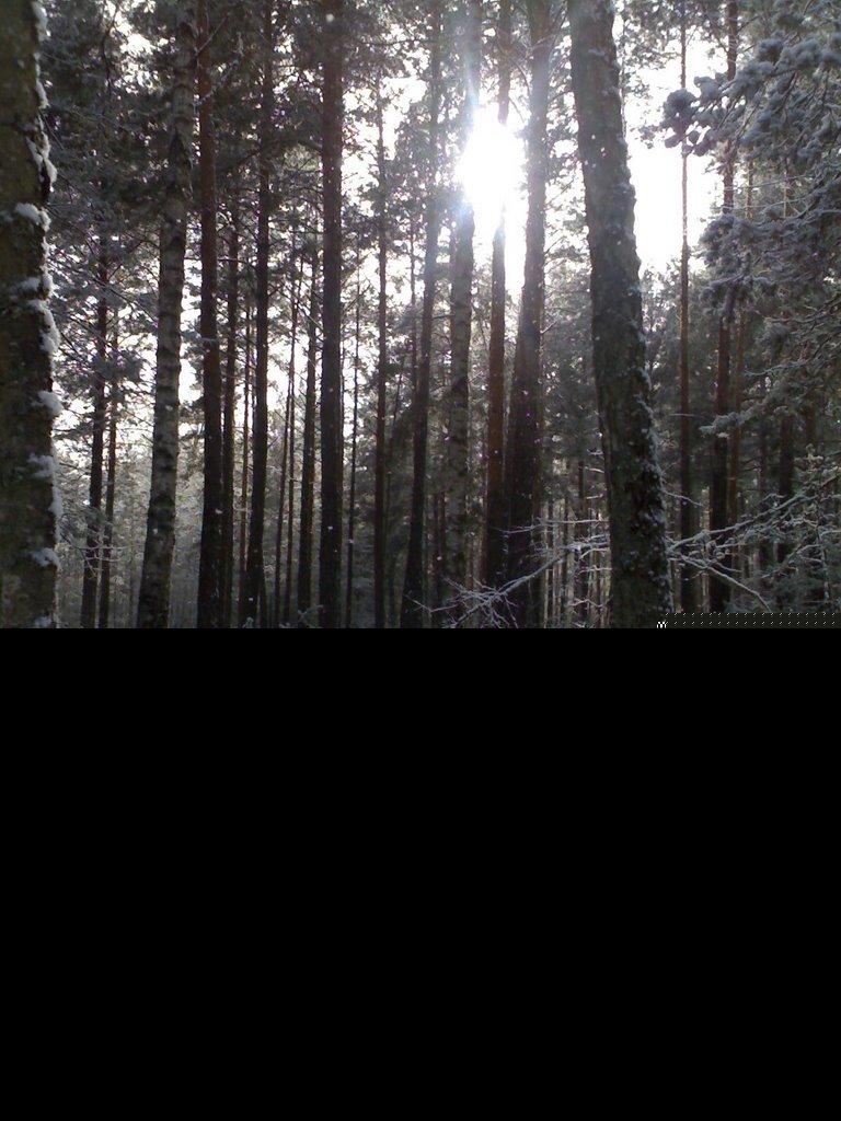 Великий Бурлук з panoramio.com - Великий Бурлук