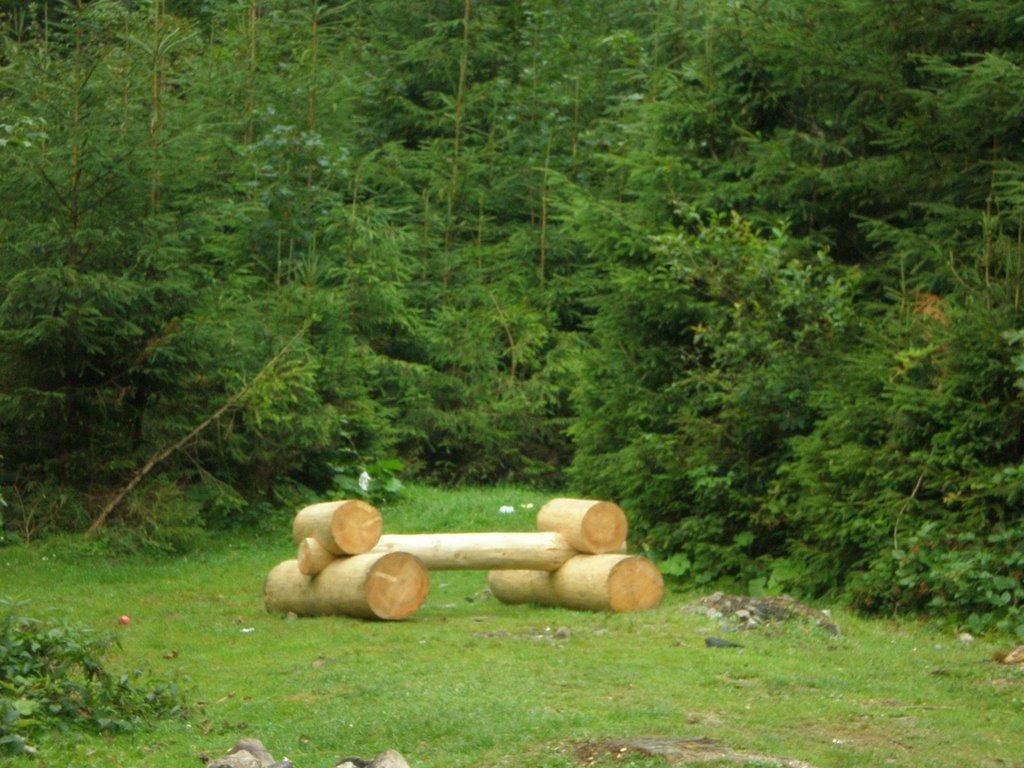 Синевир з panoramio.com - Синевир