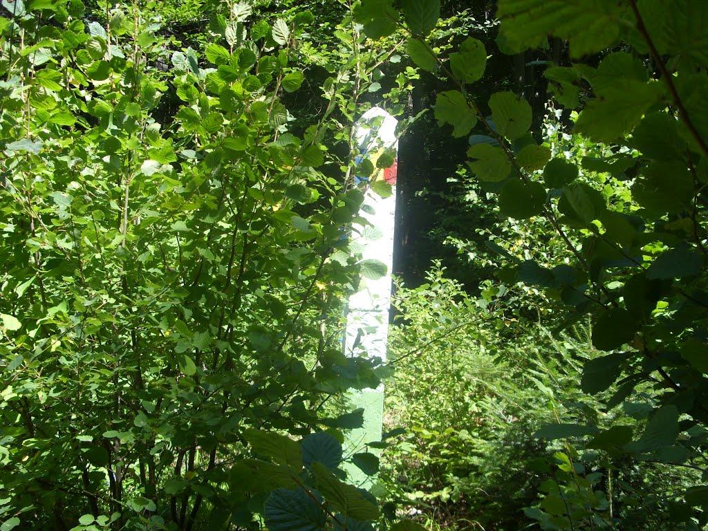Фальків з panoramio.com (ч.2) - Фальків