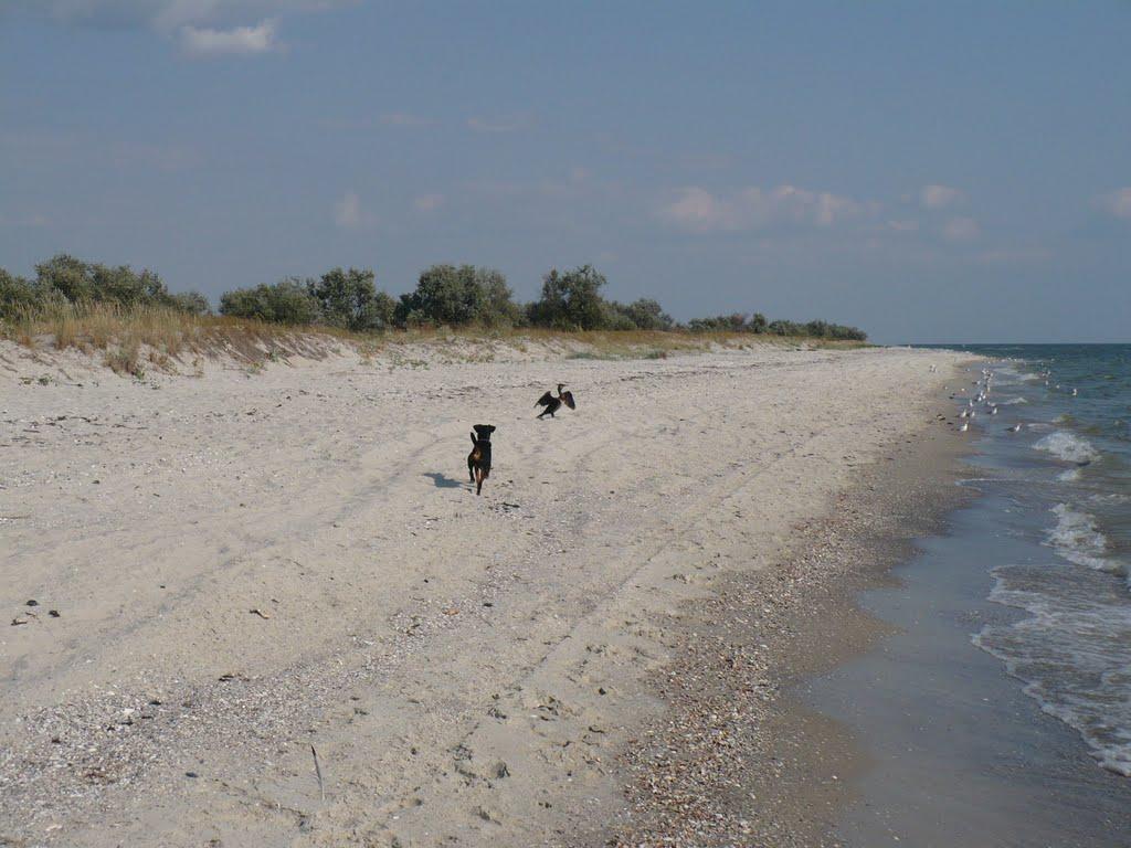Очаків з panoramio.com - Очаков