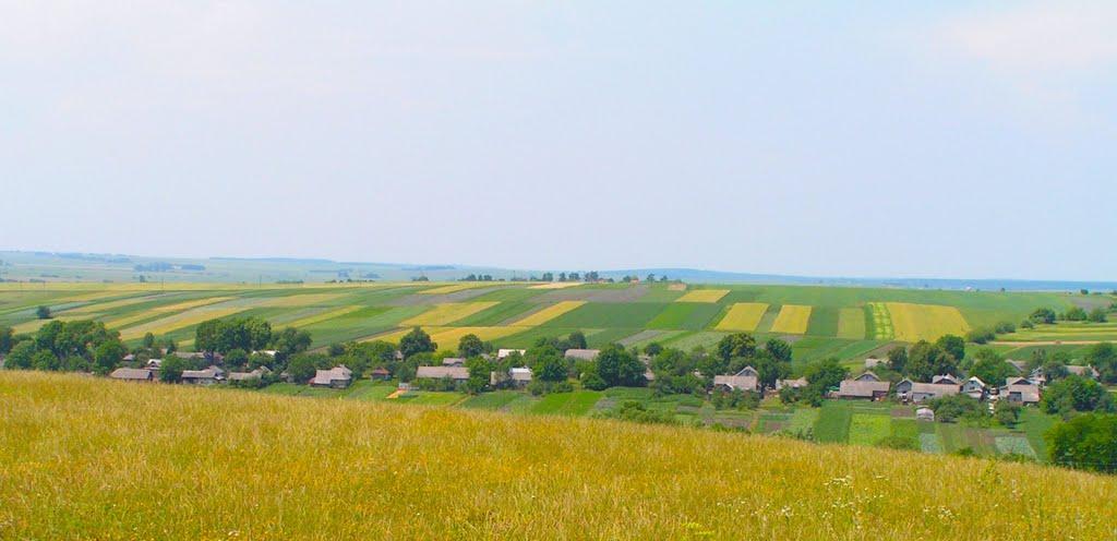 Гончарів з panoramio.com - Гончаров