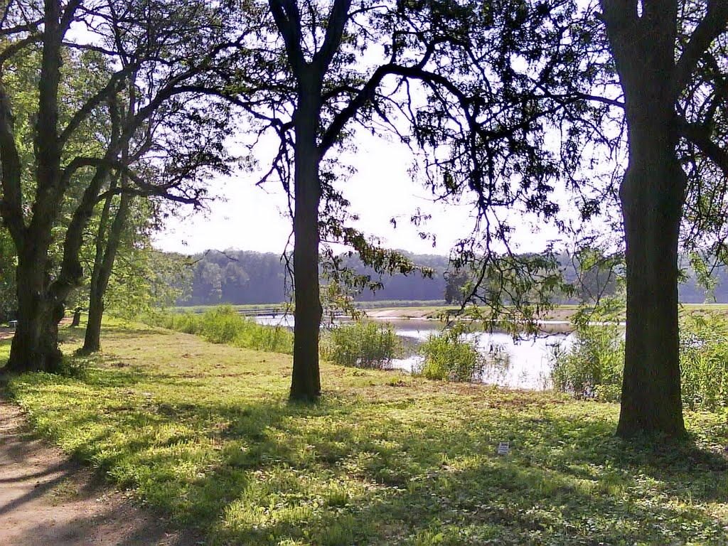 Зелений Гай з panoramio.com - Зеленый Гай