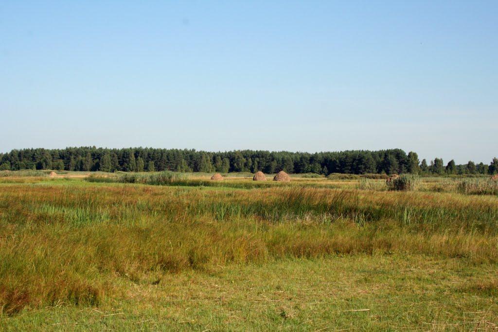 Люб'язь з panoramio.com - Люб'язь