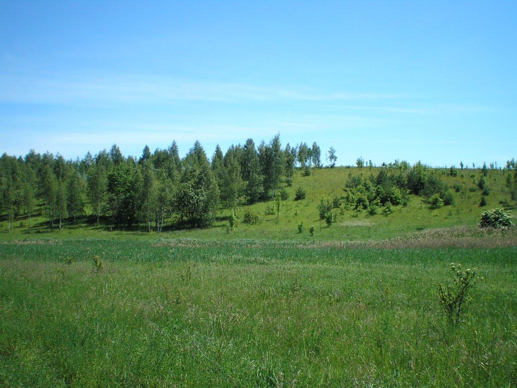Махаринці з panoramio.com - Makharyntsi