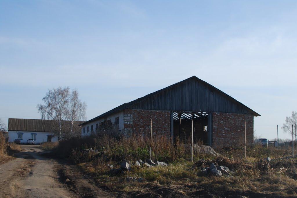 Велика Севастянівка з panoramio.com - Велика Севастянівка