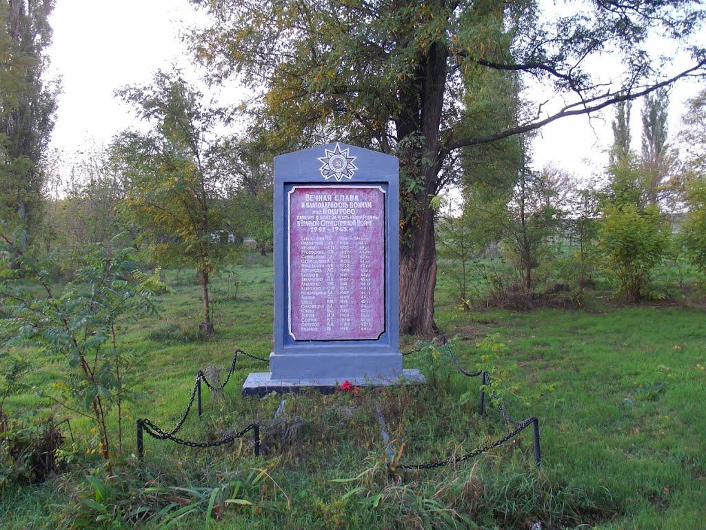 Коштове з panoramio.com - Коштове