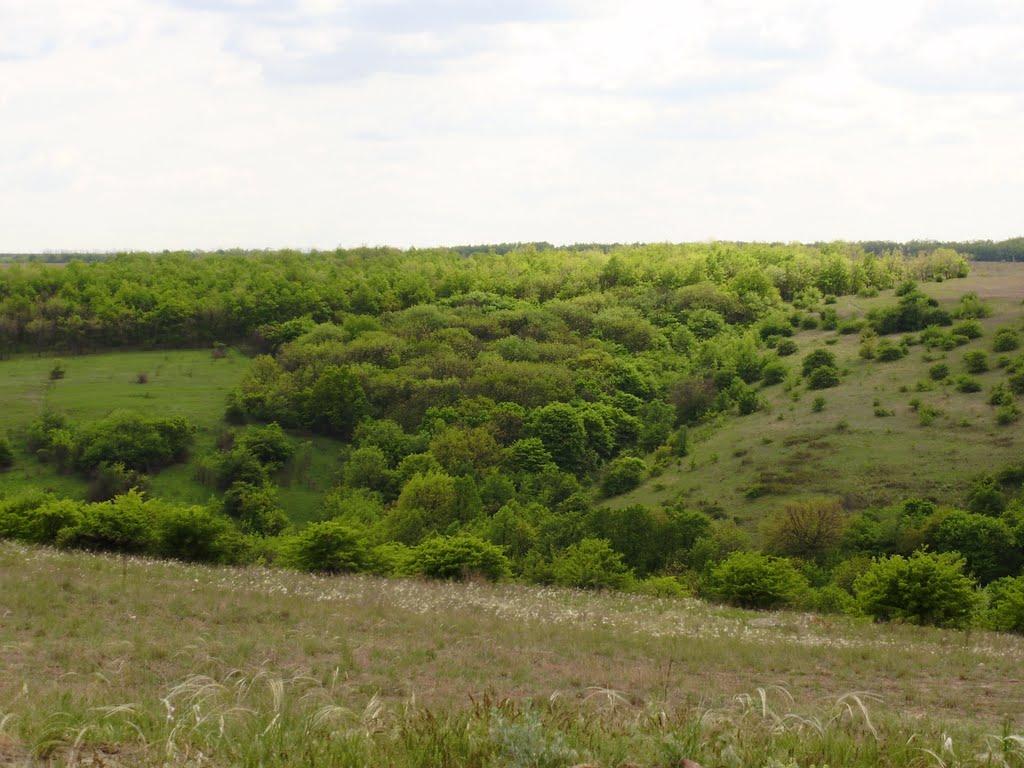 Кружилівка з panoramio.com - Кружиловка