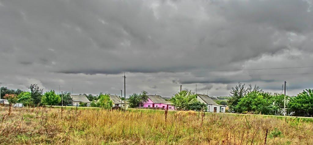 Пустельникове з panoramio.com - Пустельникове