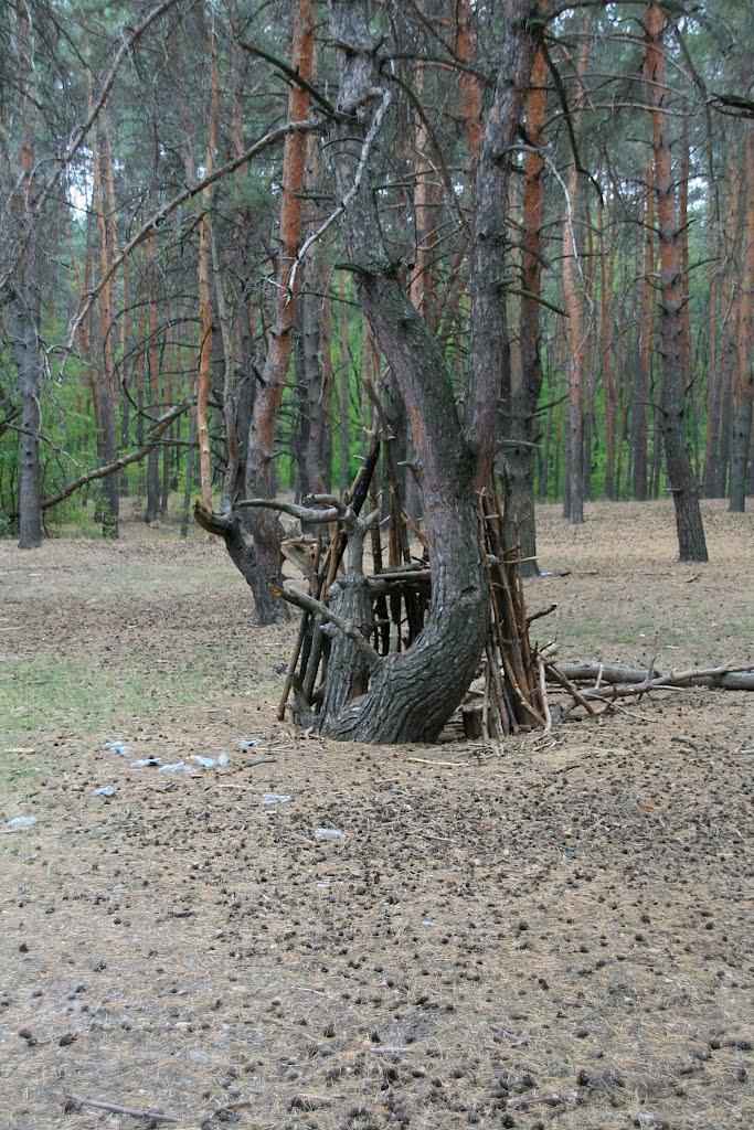 Могилів з panoramio.com - Могилев