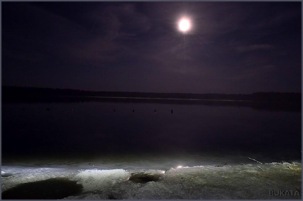 Лебедин з panoramio.com - Лебедин