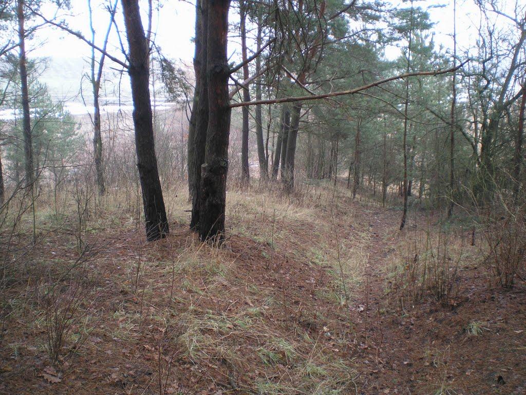 Махаринці з panoramio.com - Makharyntsi