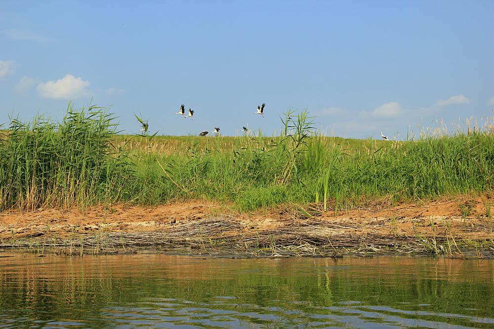Рудливе з panoramio.com - Рудливе