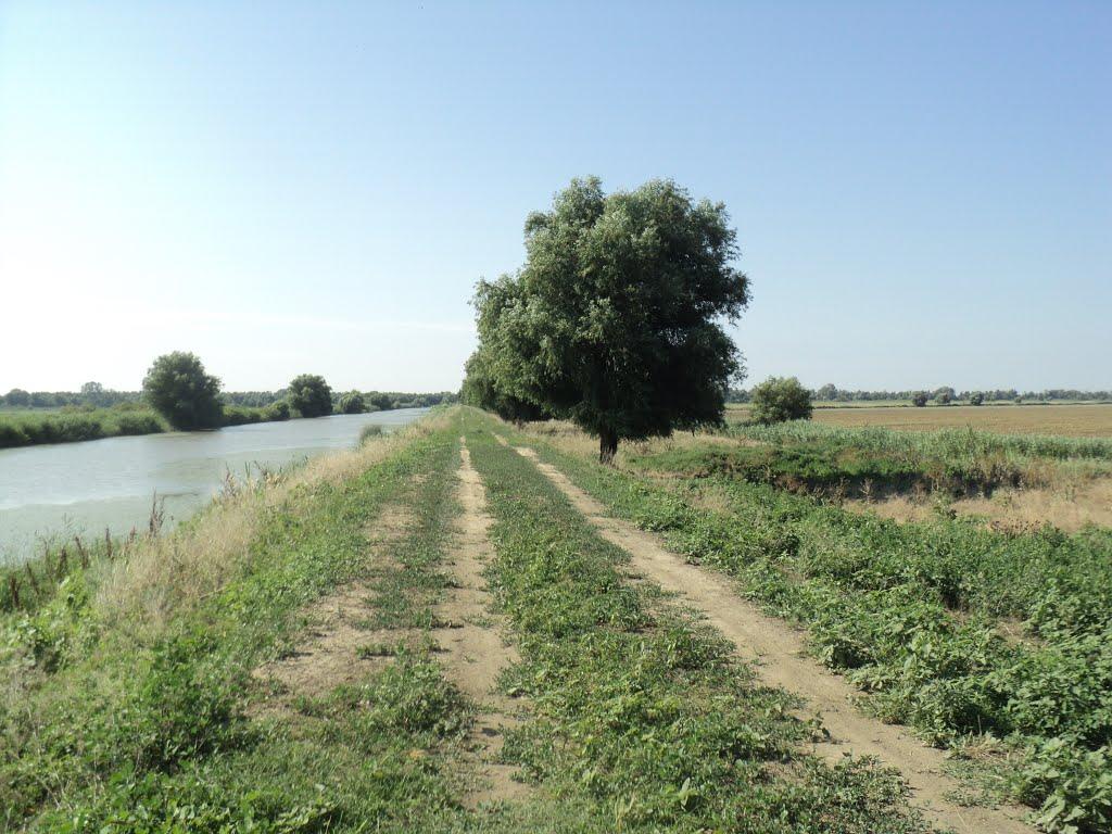 Василівка з panoramio.com - Васильевка