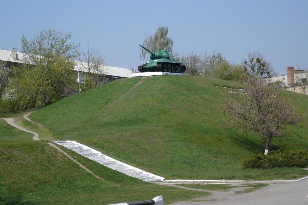 Лисянка з panoramio.com - Лысянка