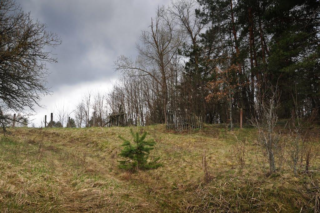 Карпилівка з panoramio.com - Карпиловка