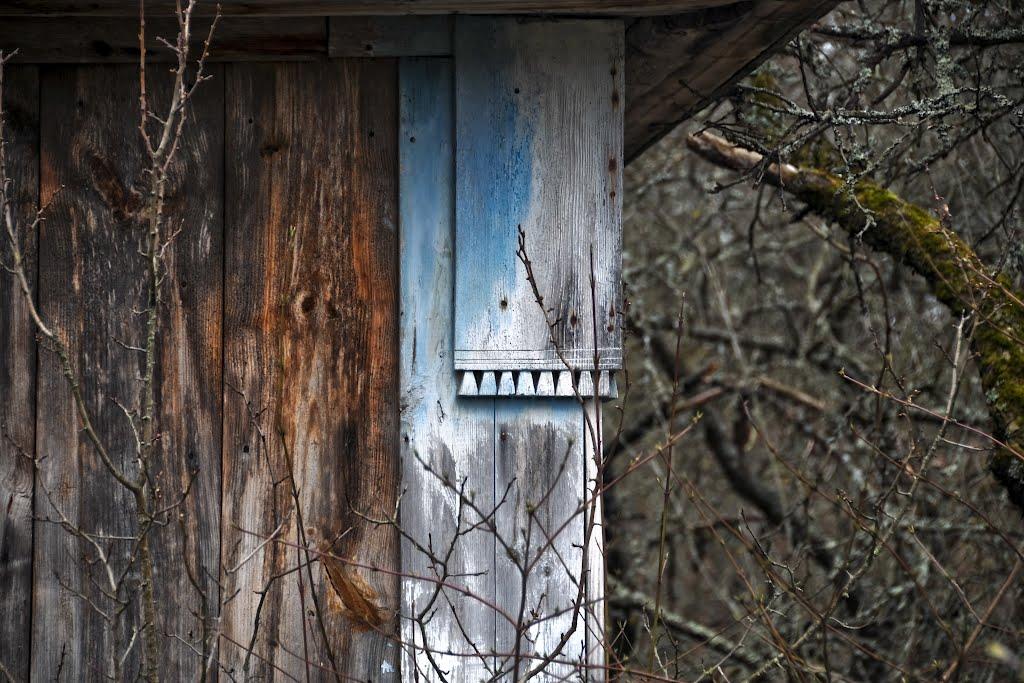 Карпилівка з panoramio.com - Карпиловка