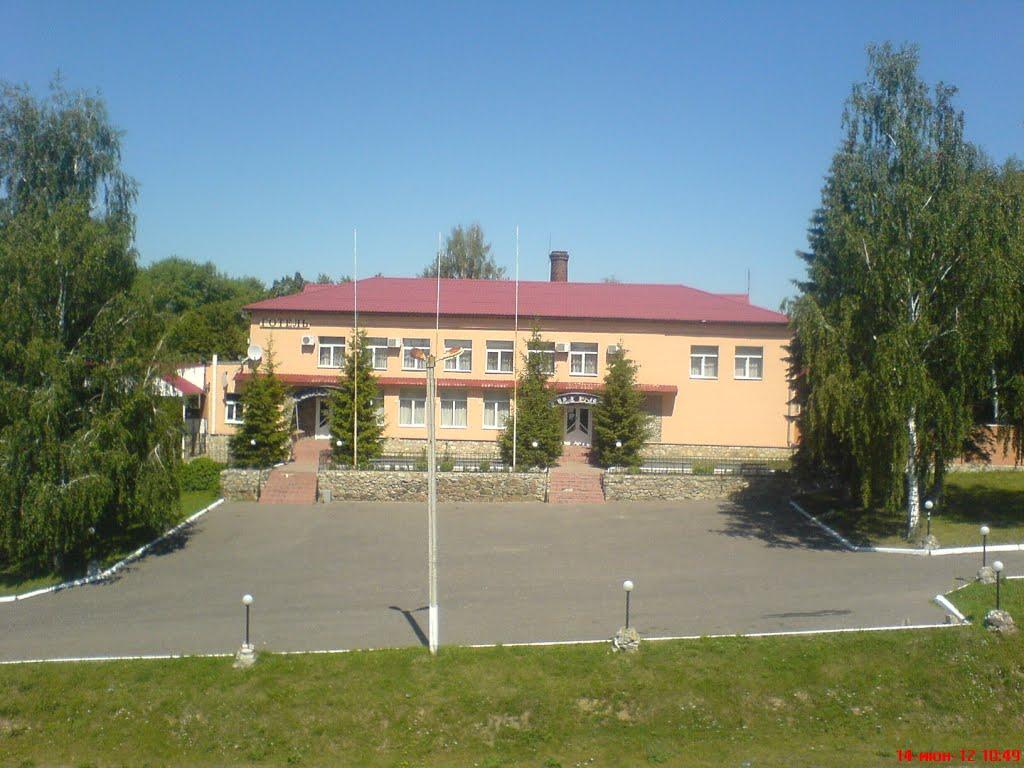 Береза з panoramio.com - Береза