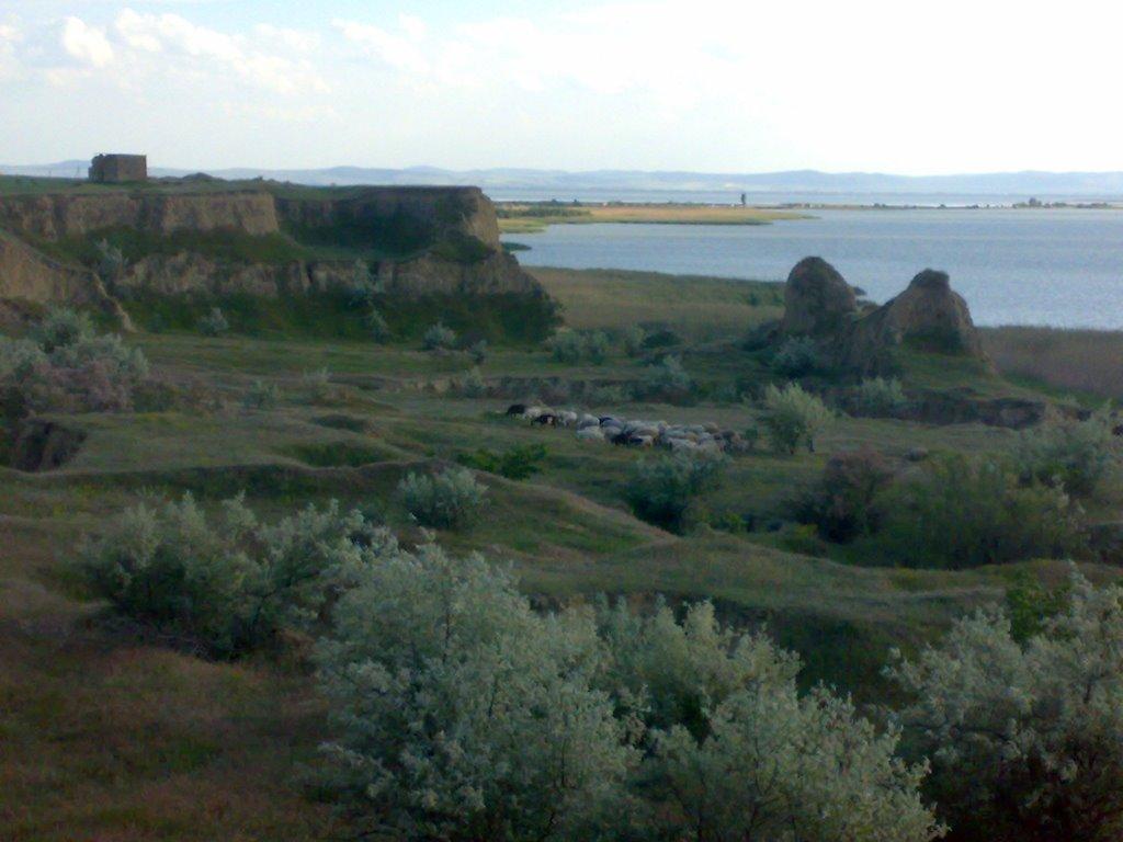 Нова Некрасівка з panoramio.com - Нова Некрасівка