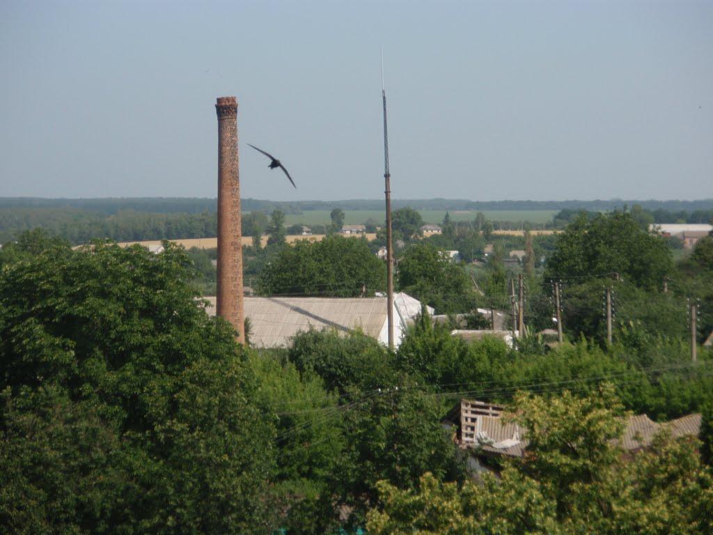 Срібне з panoramio.com - Срібне