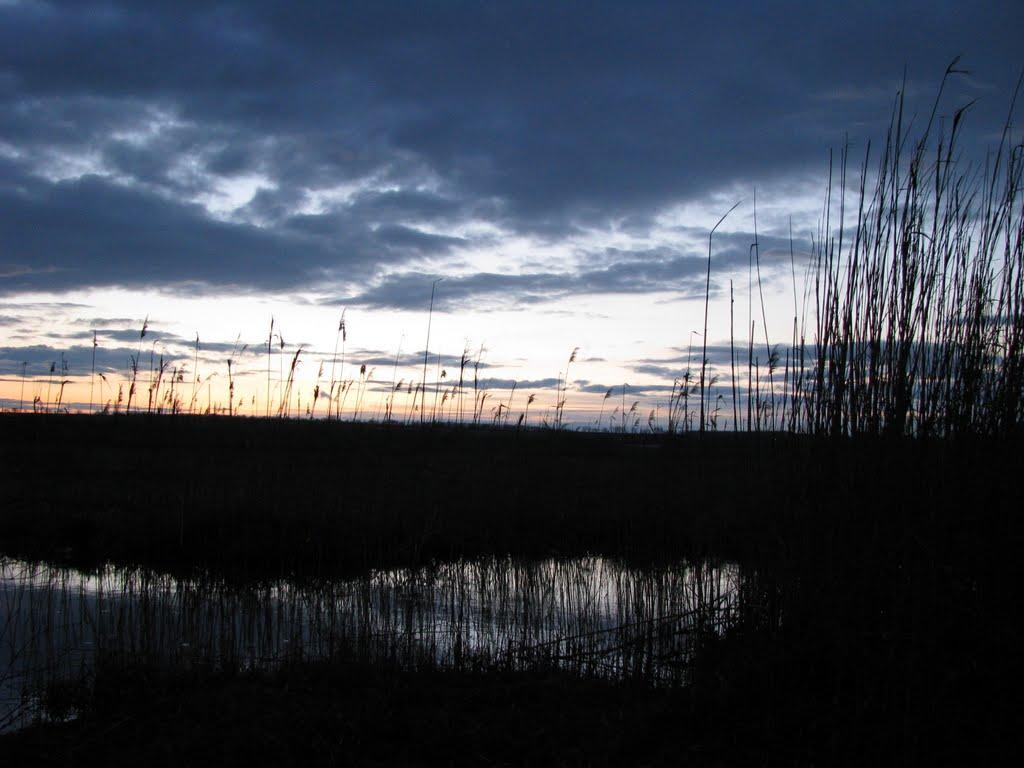 Калинове з panoramio.com - Калинове