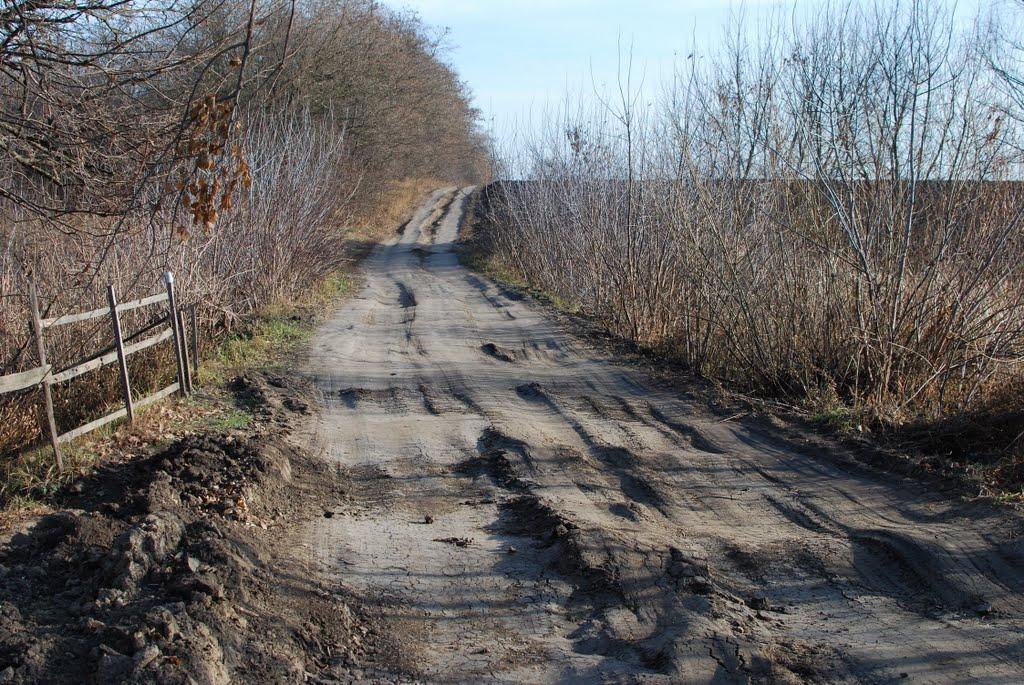 Велика Севастянівка з panoramio.com - Великая Севастьяновка