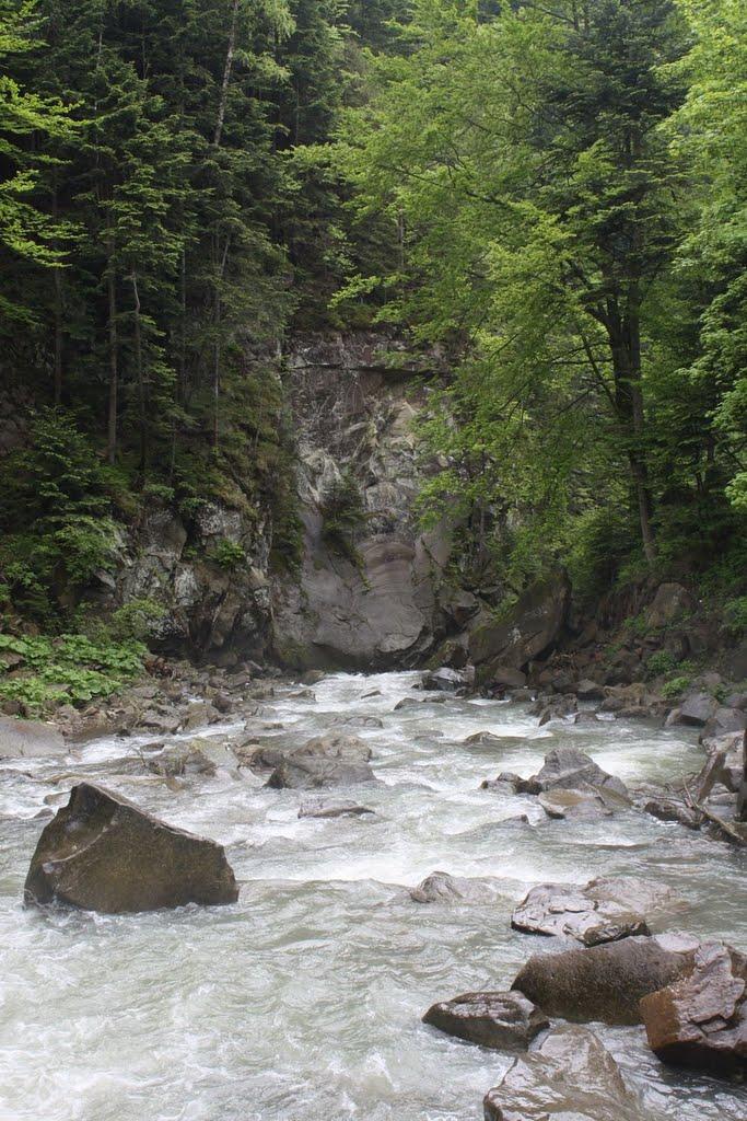 Кам'янка з panoramio.com - Кам'янка