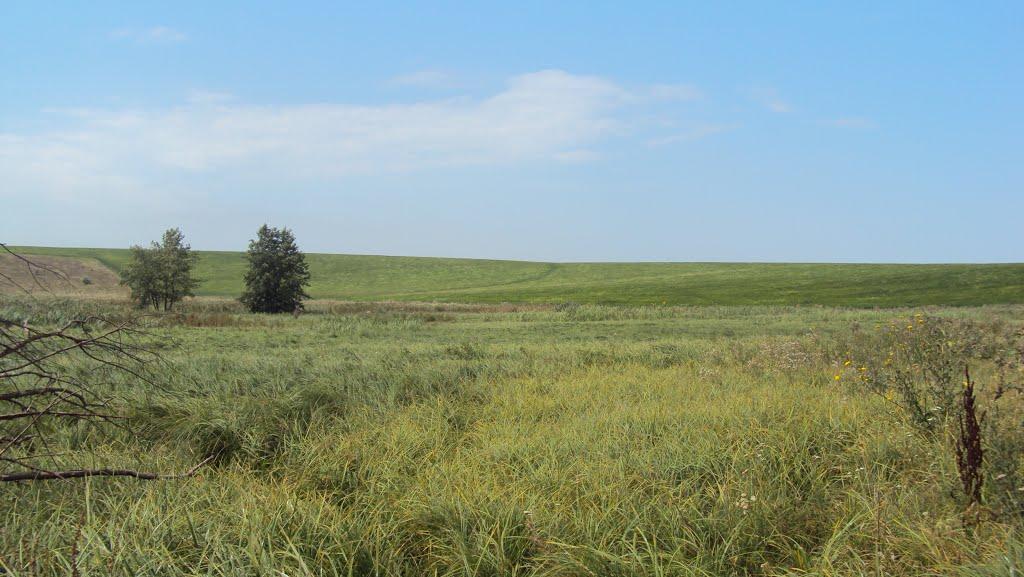 Веселий Кут з panoramio.com - Веселый Кут