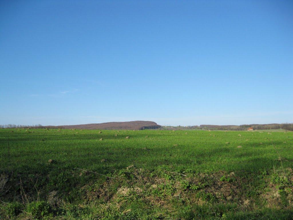 Старі Бросківці з panoramio.com - Старі Бросківці