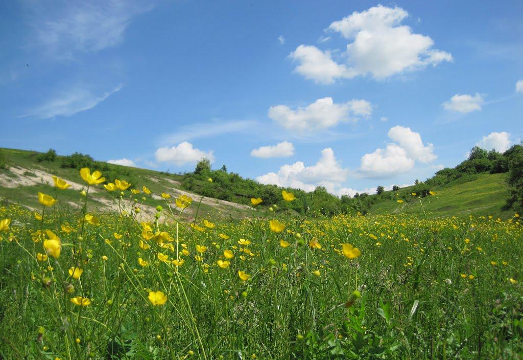 Підволочиськ з panoramio.com - Подволочиск